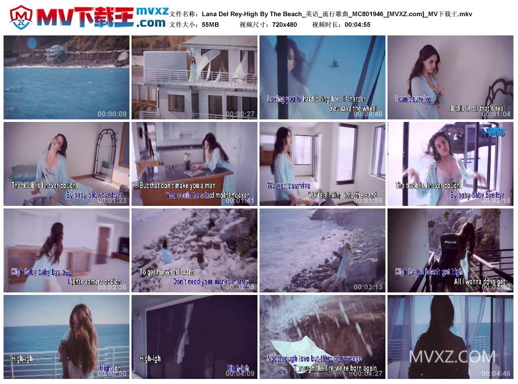 Lana Del Rey-High By The Beach_英语_流行歌曲_MC801946